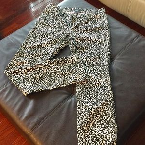 Ann Taylor Modern Pants 🌷🌷New🌷🌷